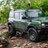Evergladesbronco