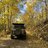 CasgotABronco