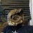RaptorRaptorDoYouCopy80