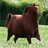IronHonse23