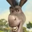 DUNKEY