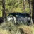 Bronco Dave R